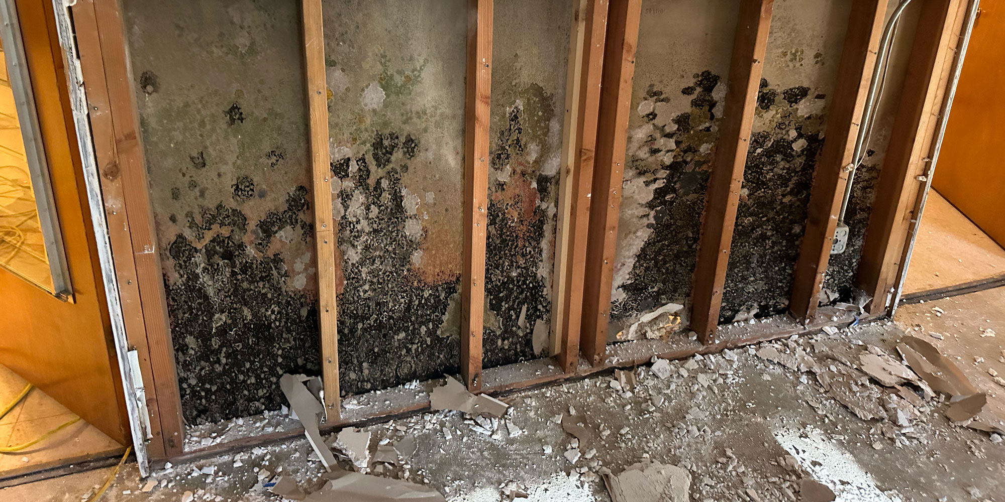 The Aurora Highlands