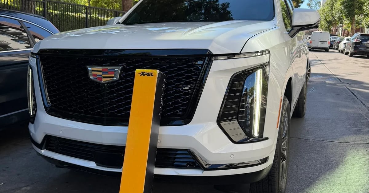 Tint Removal & Repair