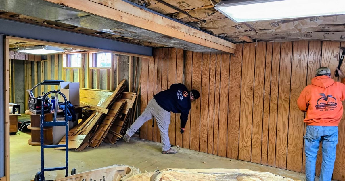 Two restoration workers removing wall panels and insulation during basement mold remediation